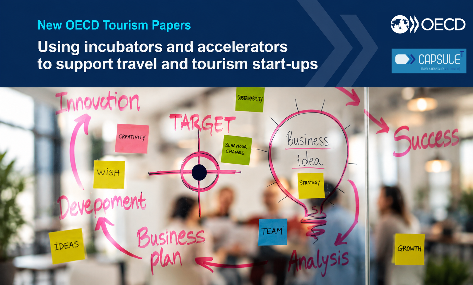 Capsule<sup>T</sup> in the OECD’s New Study on Supporting Travel & Tourism Startups